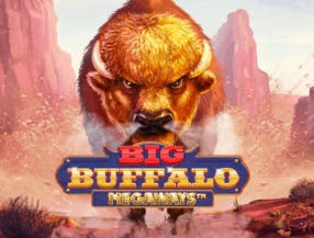 game logo by Skywind Group on bet-onred.eu
